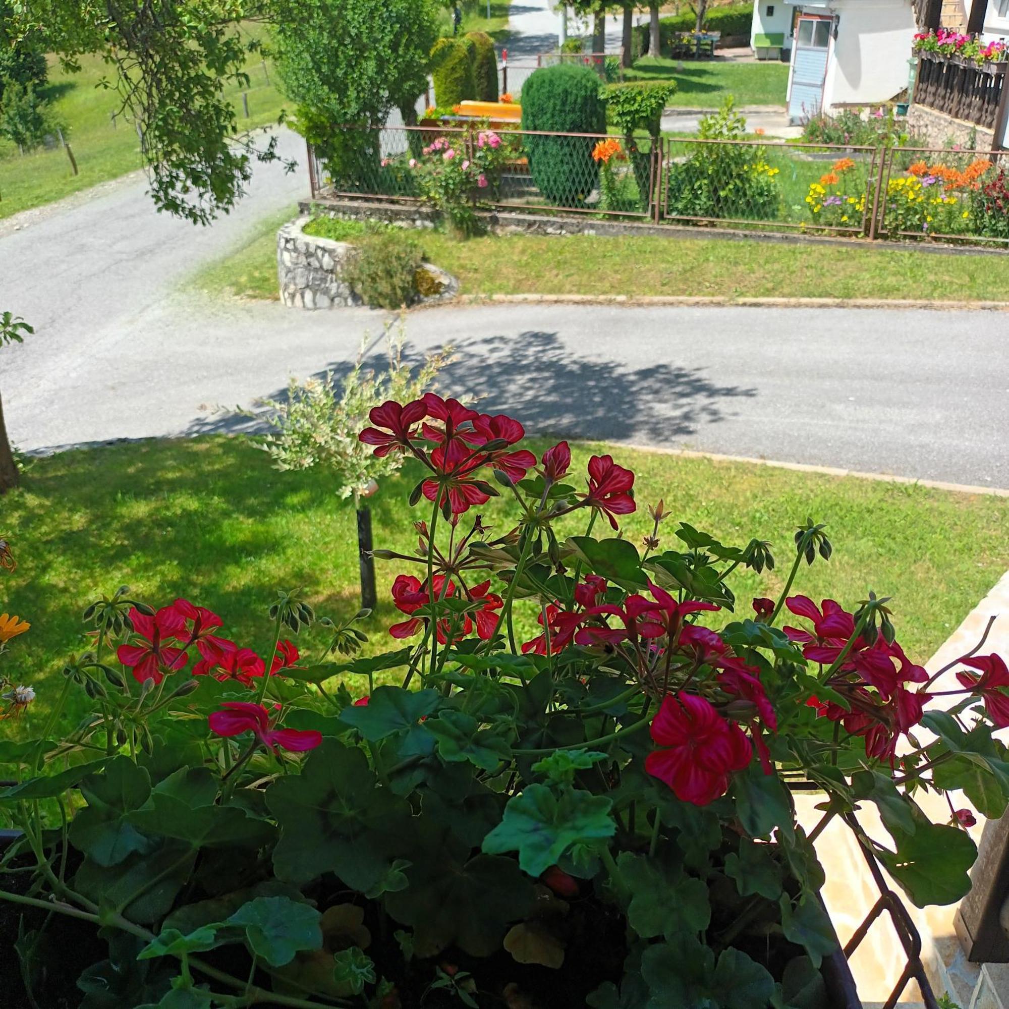 Guest House Stefanija Poljanak Exterior photo