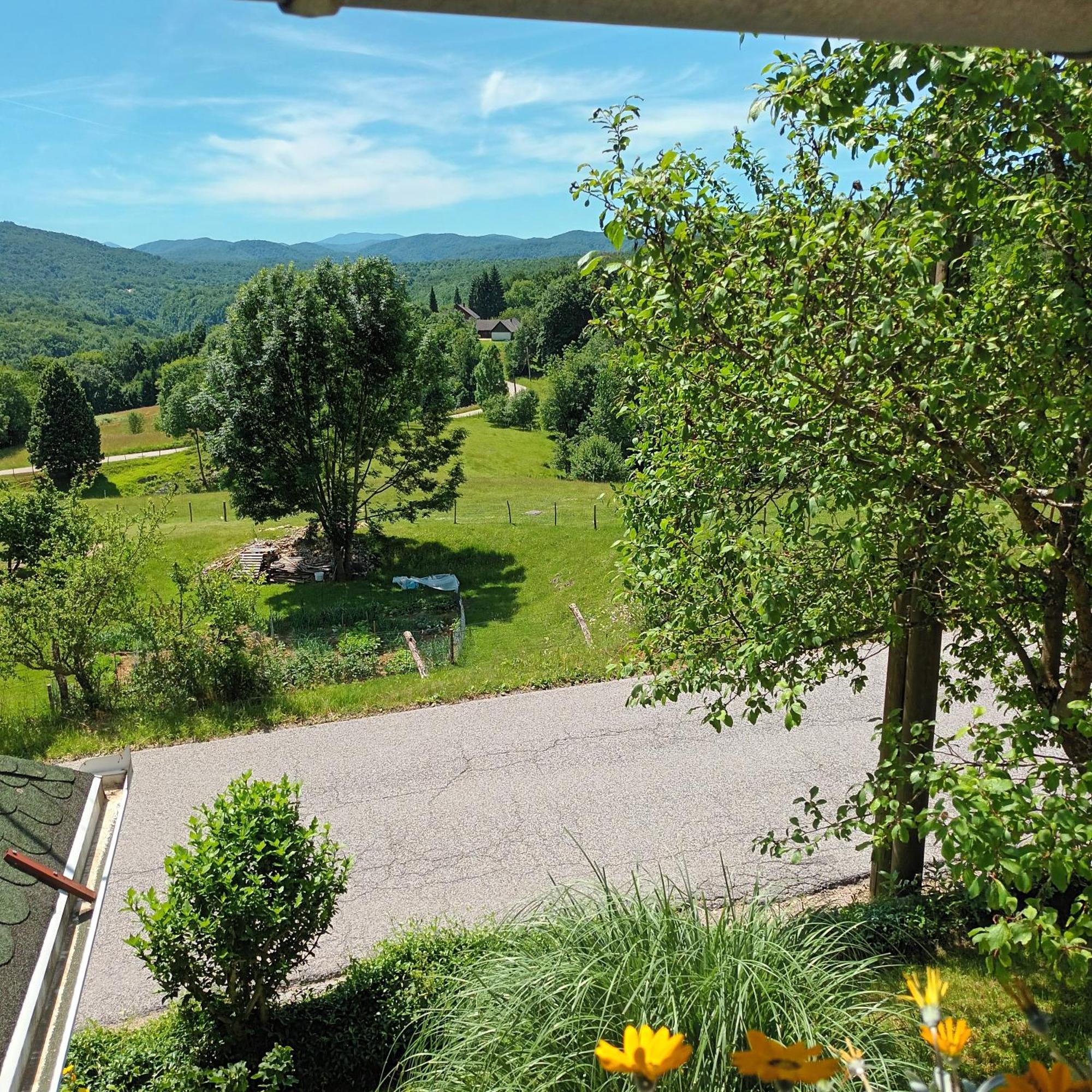 Guest House Stefanija Poljanak Exterior photo